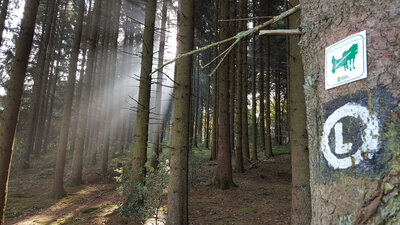 Wandern 03