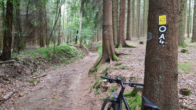 Wandern 06
